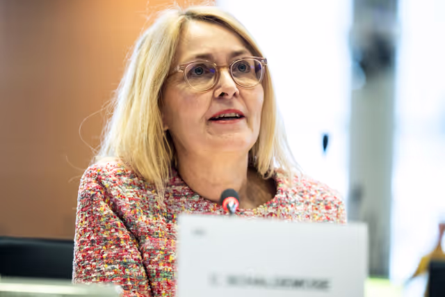 Fotogrāfija 23: IMCO - The Digital Services Act in global context: addressing misleading narratives