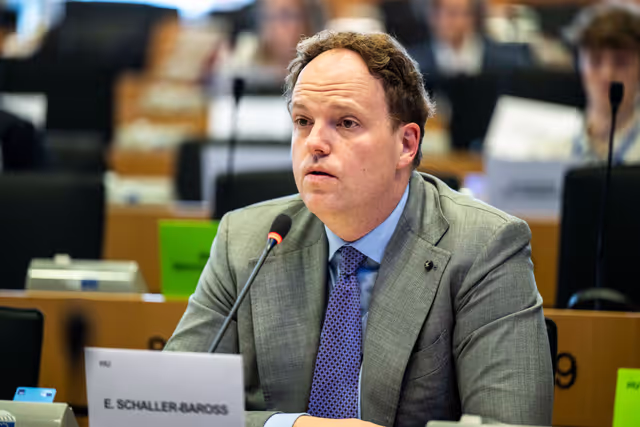 Fotogrāfija 19: IMCO - The Digital Services Act in global context: addressing misleading narratives