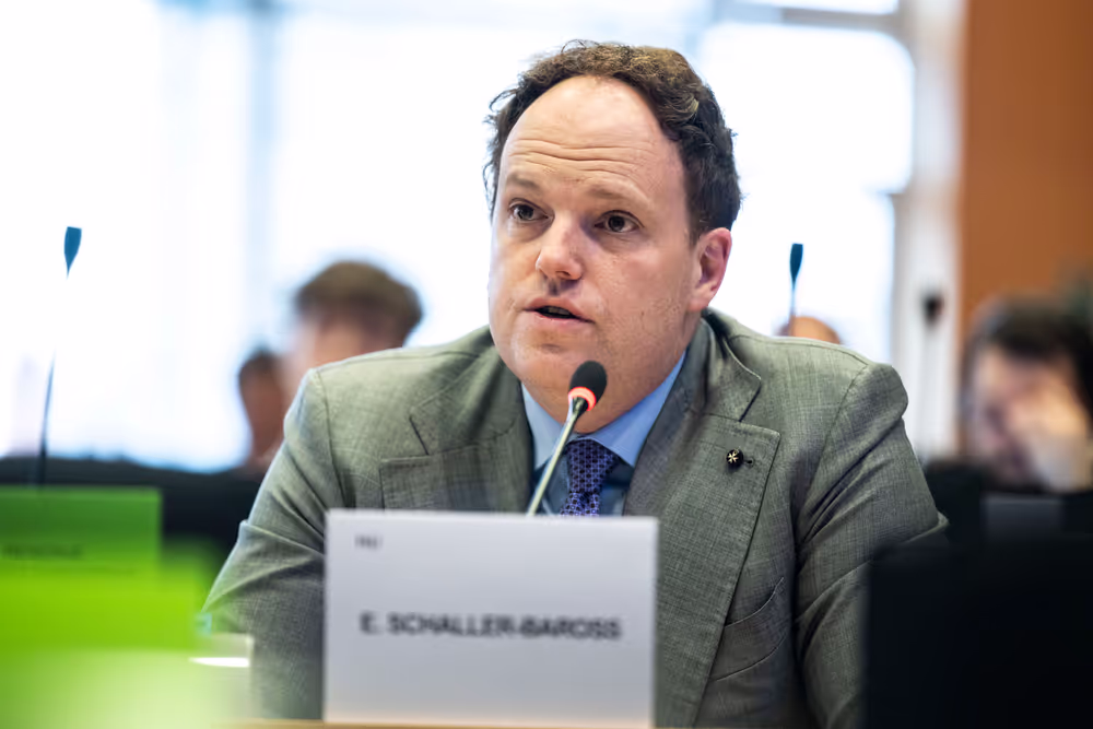 IMCO - The Digital Services Act in global context: addressing misleading narratives