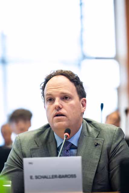 Fotogrāfija 17: IMCO - The Digital Services Act in global context: addressing misleading narratives