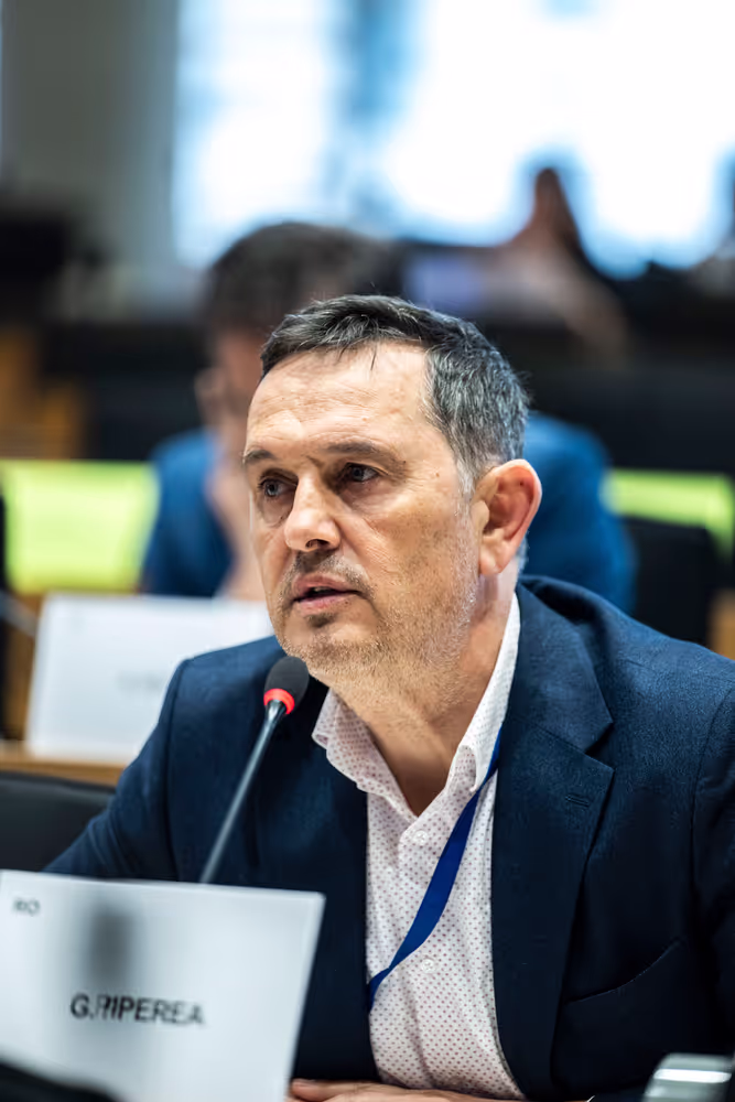 IMCO - The Digital Services Act in global context: addressing misleading narratives