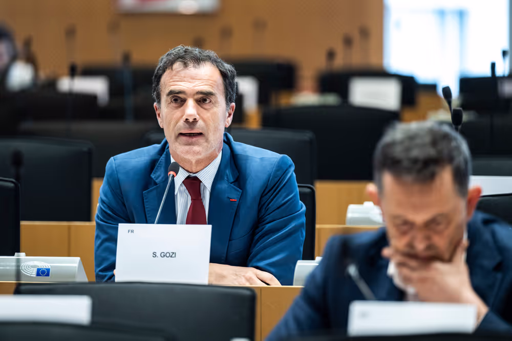 IMCO - The Digital Services Act in global context: addressing misleading narratives