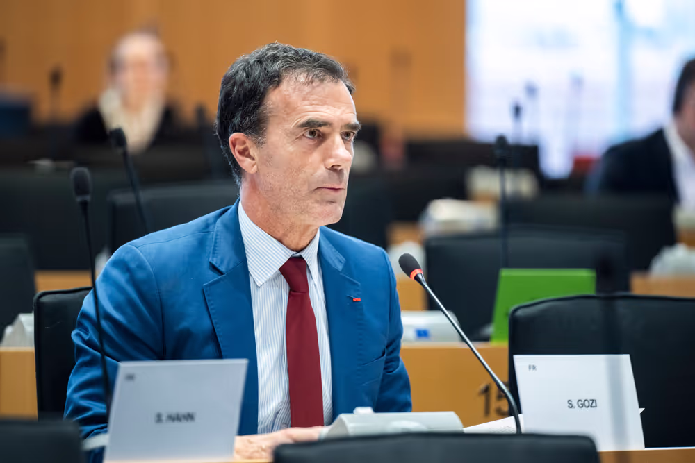 IMCO - The Digital Services Act in global context: addressing misleading narratives