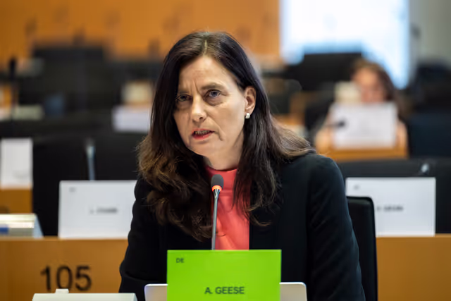 IMCO - The Digital Services Act in global context: addressing misleading narratives