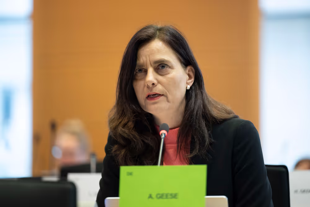 IMCO - The Digital Services Act in global context: addressing misleading narratives