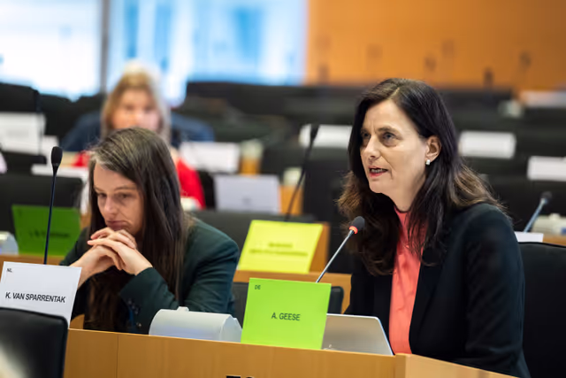 IMCO - The Digital Services Act in global context: addressing misleading narratives