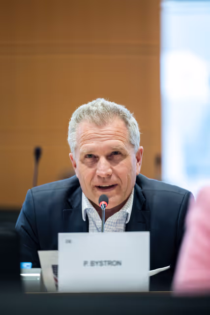 Fotogrāfija 3: IMCO - The Digital Services Act in global context: addressing misleading narratives