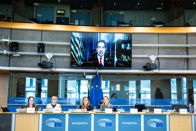 Fotogrāfija 30: IMCO - The Digital Services Act in global context: addressing misleading narratives