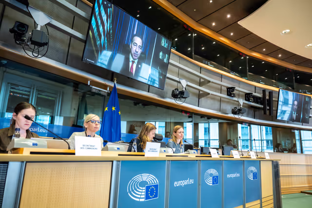 Fotogrāfija 28: IMCO - The Digital Services Act in global context: addressing misleading narratives