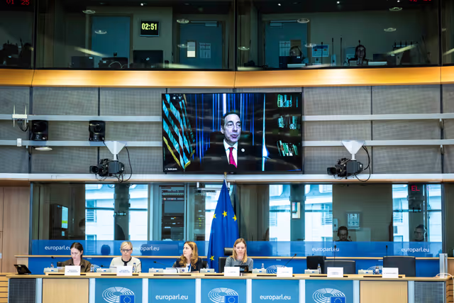 Fotogrāfija 27: IMCO - The Digital Services Act in global context: addressing misleading narratives