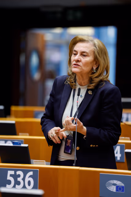 EP Plenary Session - Energy security, independence and supply in the geopolitical context - ensuring market stability and affordable energy for industry and citizens