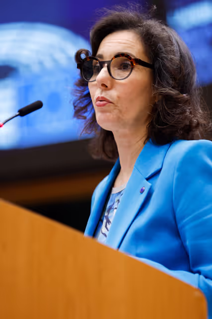 Fotografi 42: EP Plenary Session - European Citizens’ Initiative ‘Ban on conversion practices in the European Union’