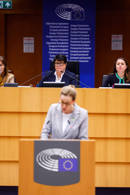 Fotografi 30: EP Plenary Session - European Citizens’ Initiative ‘Ban on conversion practices in the European Union’