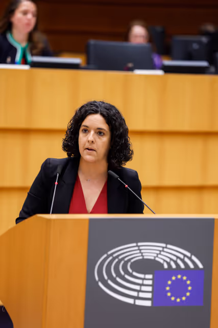 Fotografi 24: EP Plenary Session - European Citizens’ Initiative ‘Ban on conversion practices in the European Union’