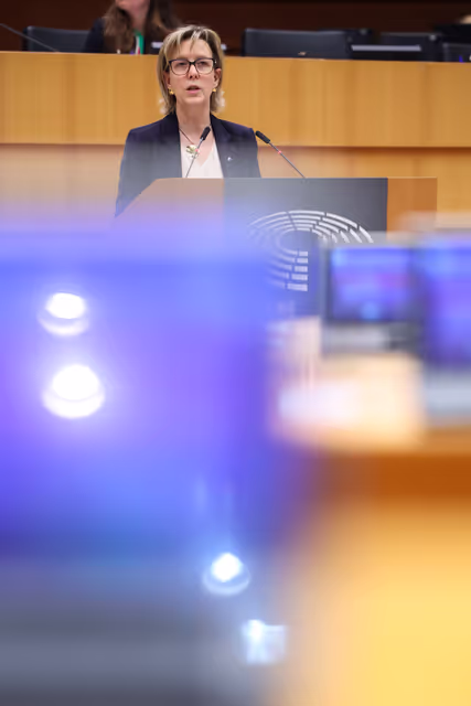 EP Plenary Session - Joint debate - Deposit protection and early intervention measures