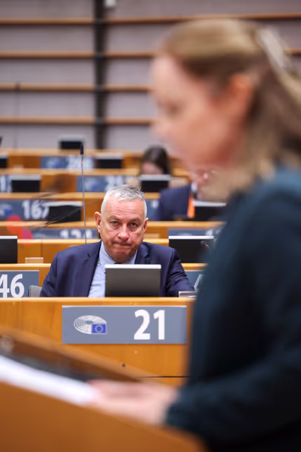 EP Plenary Session - Global Gateway – past impacts and future orientation