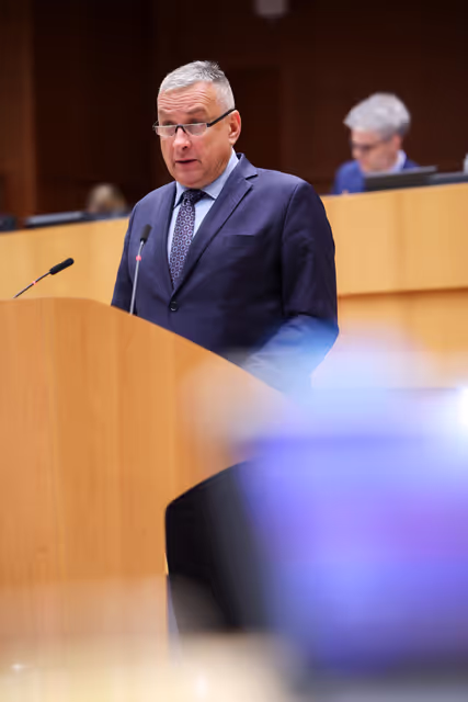 EP Plenary Session - Global Gateway – past impacts and future orientation