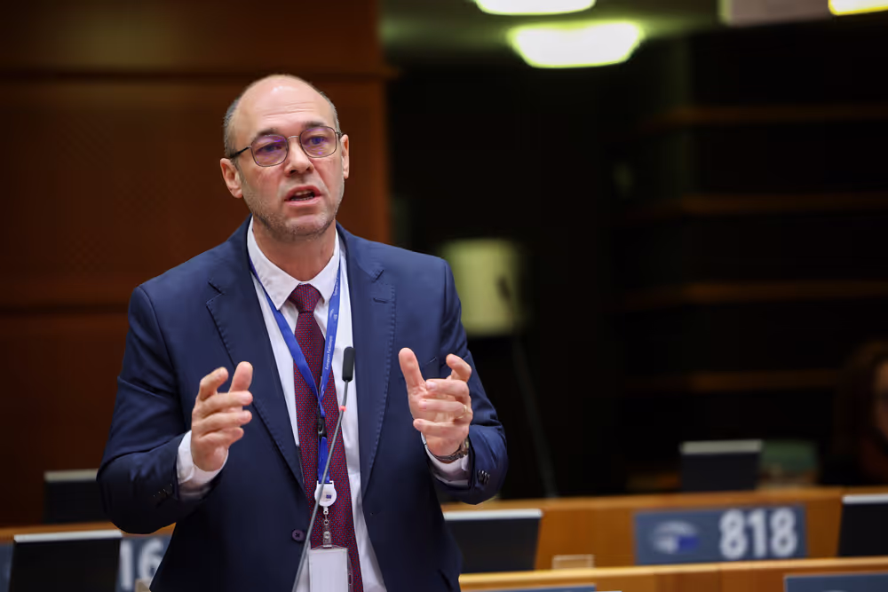 EP Plenary Session - Global Gateway – past impacts and future orientation