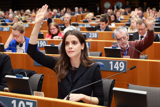 EP Plenary Session - Voting session