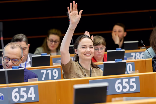 EP Plenary Session - Voting session