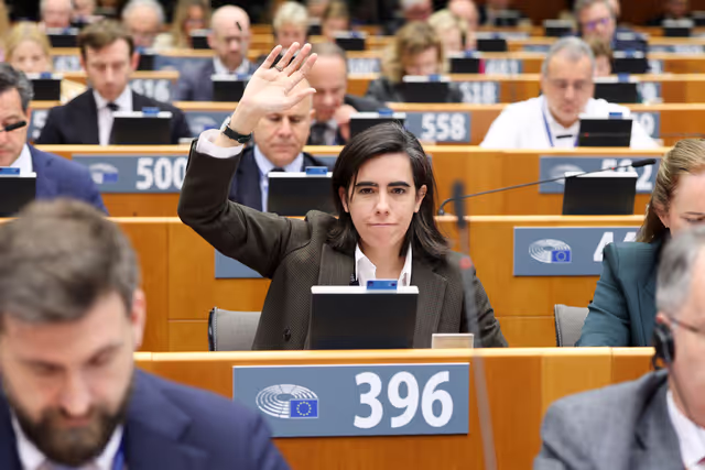 EP Plenary Session - Voting session