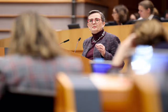 EP Plenary Session - Voting session