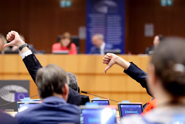 EP Plenary Session - Voting session