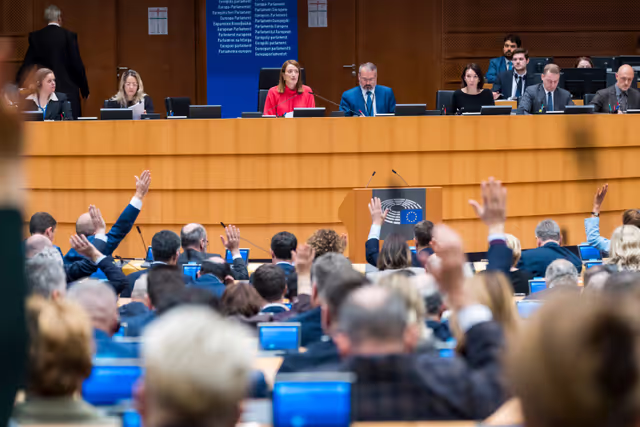 EP Plenary Session - Voting session
