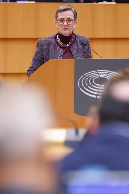 EP Plenary Sesiion - Voting session