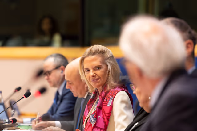 Fotografija 29: TRAN Committee - Exchange of views with European Coordinators for the TEN-T