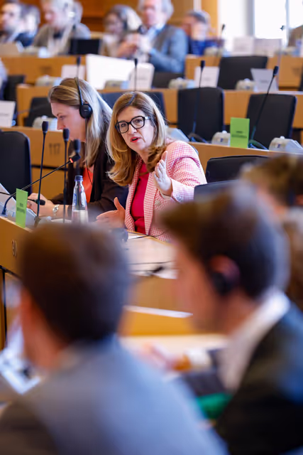 ECON Committee - Public Hearing on the role of pension funds and insurers in capital markets