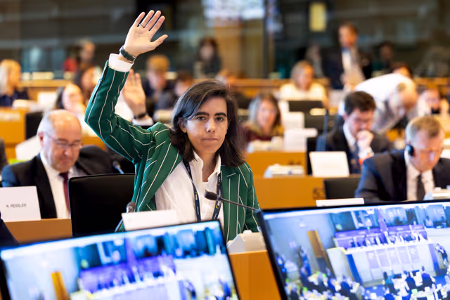 BUDG - Voting session