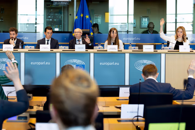 Photo 5: BUDG - Voting session