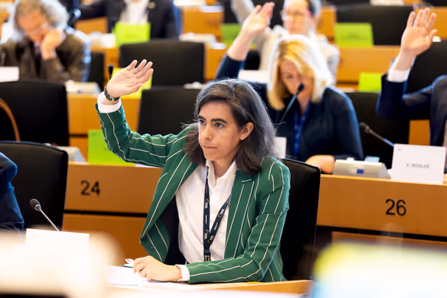 BUDG - Voting session