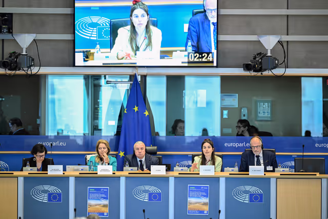 AGRI Workshop on MFF and CAP 2028-2034