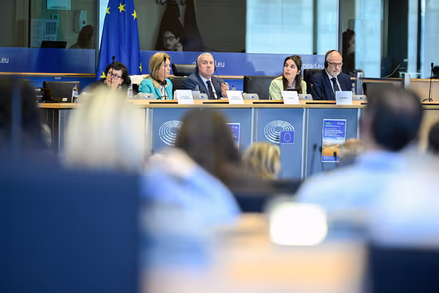 Fotogrāfija 23: AGRI Workshop on MFF and CAP 2028-2034