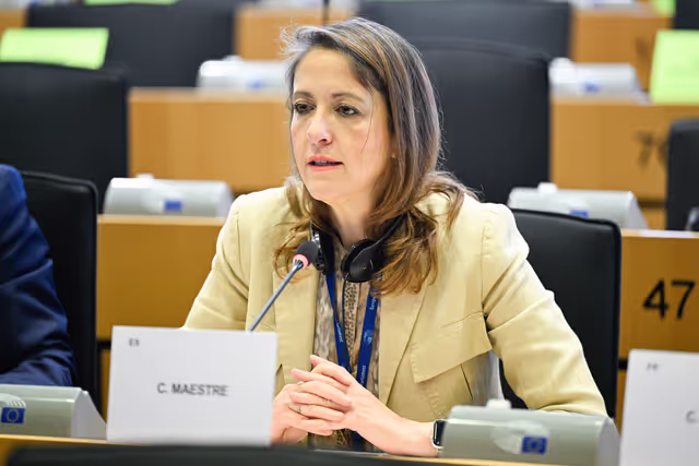 Fotogrāfija 14: AGRI Workshop on MFF and CAP 2028-2034