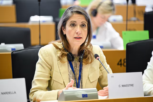 Fotogrāfija 13: AGRI Workshop on MFF and CAP 2028-2034