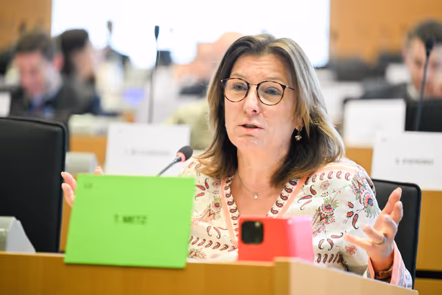 Fotogrāfija 5: AGRI Workshop on MFF and CAP 2028-2034