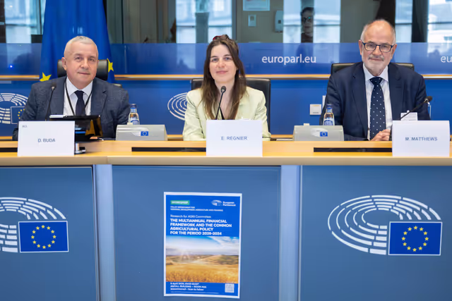 Fotogrāfija 33: AGRI Workshop on MFF and CAP 2028-2034