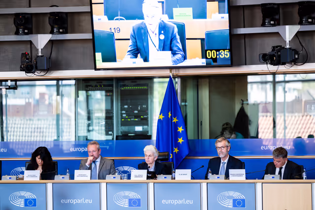 SEDE - Robert de GROOT, EIB Vice-President responsible for defence lending, briefing on EIB’s activities in this area and insight on the defence financing landscape in Europe