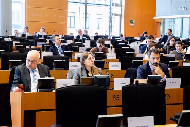 Photo 12 : ECON - Public Hearing on the global role of the euro