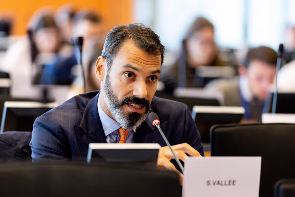 ECON - Public Hearing on the global role of the euro