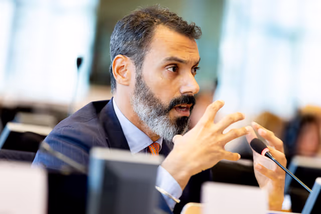 Photo 13 : ECON - Public Hearing on the global role of the euro