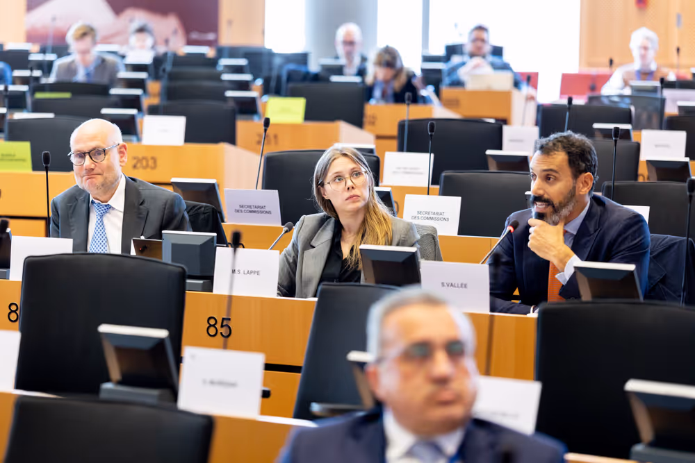 ECON - Public Hearing on the global role of the euro