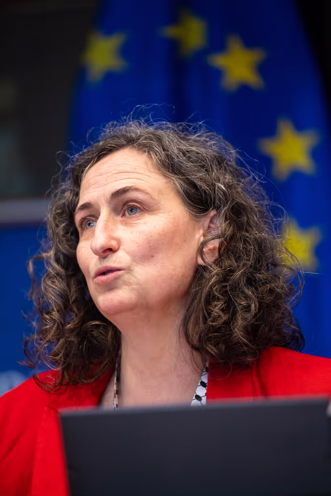 DROI - Delegation for relations with Palestine - EU response to human rights violations in the West Bank