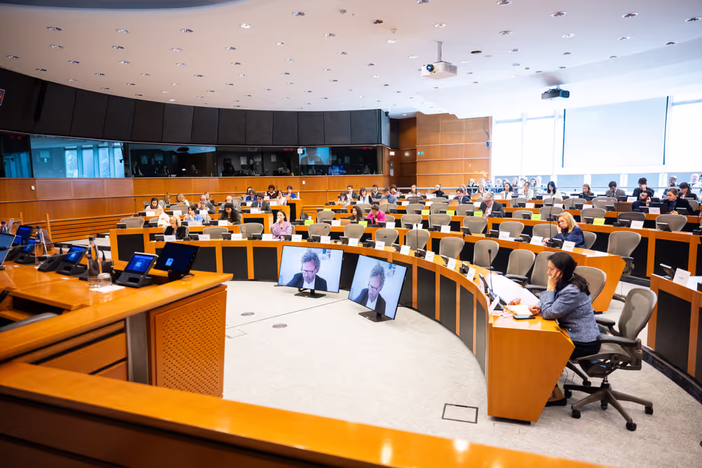 DROI - Delegation for relations with Palestine - EU response to human rights violations in the West Bank