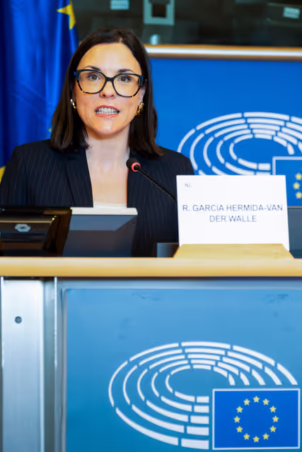 Fotografi 29: REGI -Exchange of views on the future of cross-border cooperation within the post-2027 Multiannual Financial Framework (MFF)