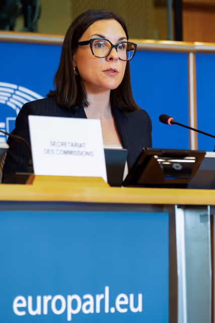 REGI -Exchange of views on the future of cross-border cooperation within the post-2027 Multiannual Financial Framework (MFF)