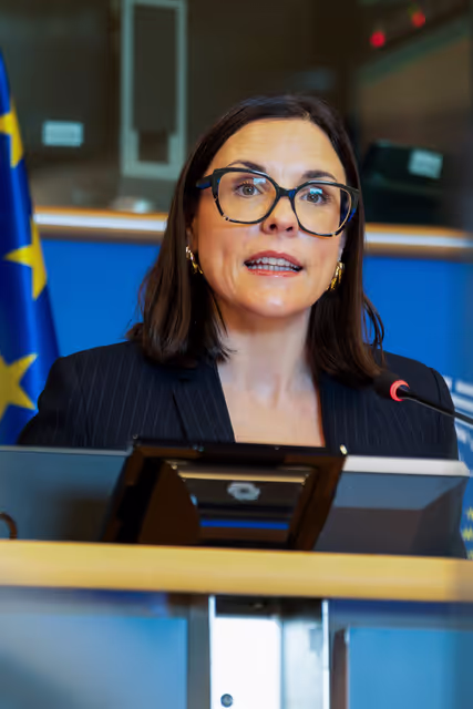 REGI -Exchange of views on the future of cross-border cooperation within the post-2027 Multiannual Financial Framework (MFF)